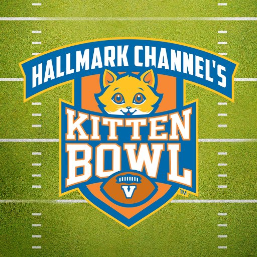 Official Twitter handle of @HallmarkChannel's Kitten Bowl! Our fifth annual PAWSOME kickoff is February 4, 2018 ! #KittenBowl