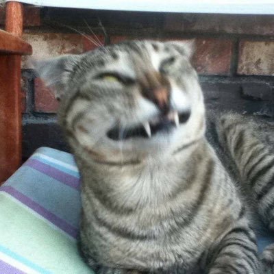 Alex96Erick's profile picture. 