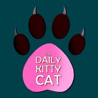 The Daily Kitty Cat(@_DailyKittyCat) 's Twitter Profileg