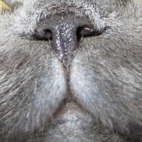 Tita Molinera (@titamolinera) 's Twitter Profile Photo