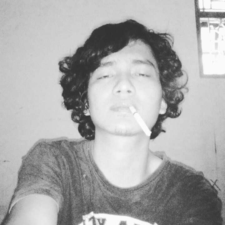 masihari's profile picture. FDTL