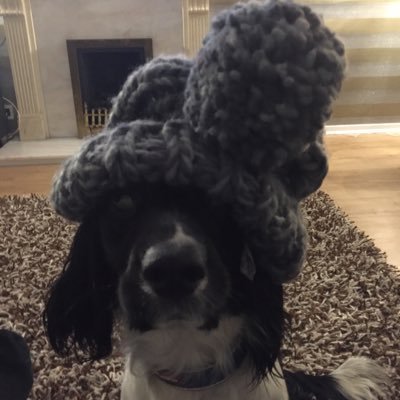 Traceys21629034's profile picture. 