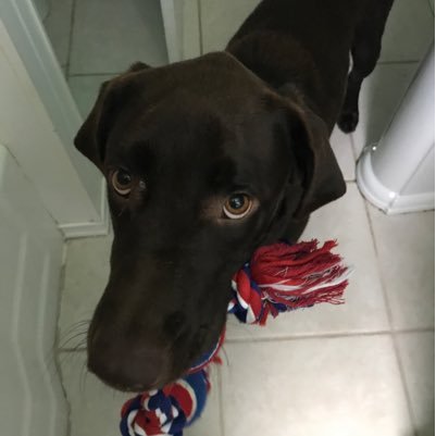 Boomer69060018's profile picture. Biscuit lovin & God fearing conservative, ashamed that Shelly is my Senator
