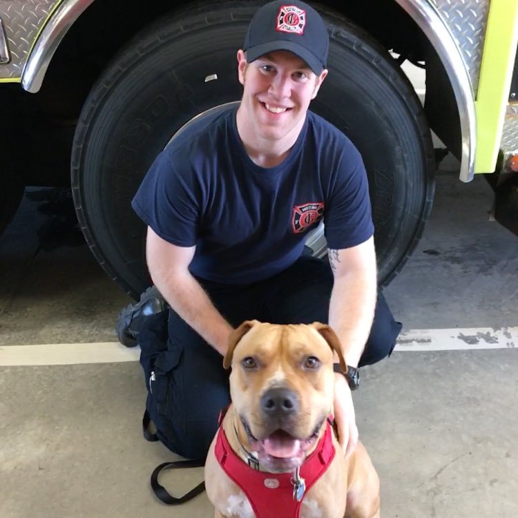 Firefighter, Paramedic, dog dad. Sometimes I say funny things.