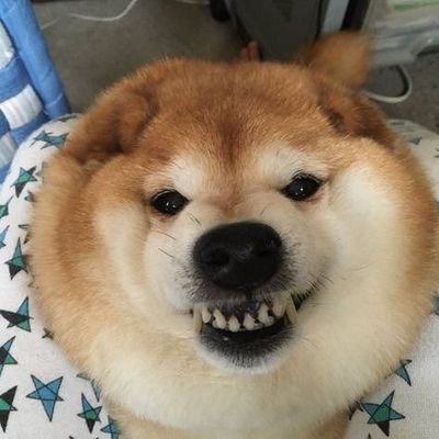 Raptayy's profile picture. .