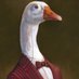 Swanley Goose Profile picture