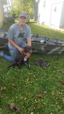 Brandon03154327's profile picture. 