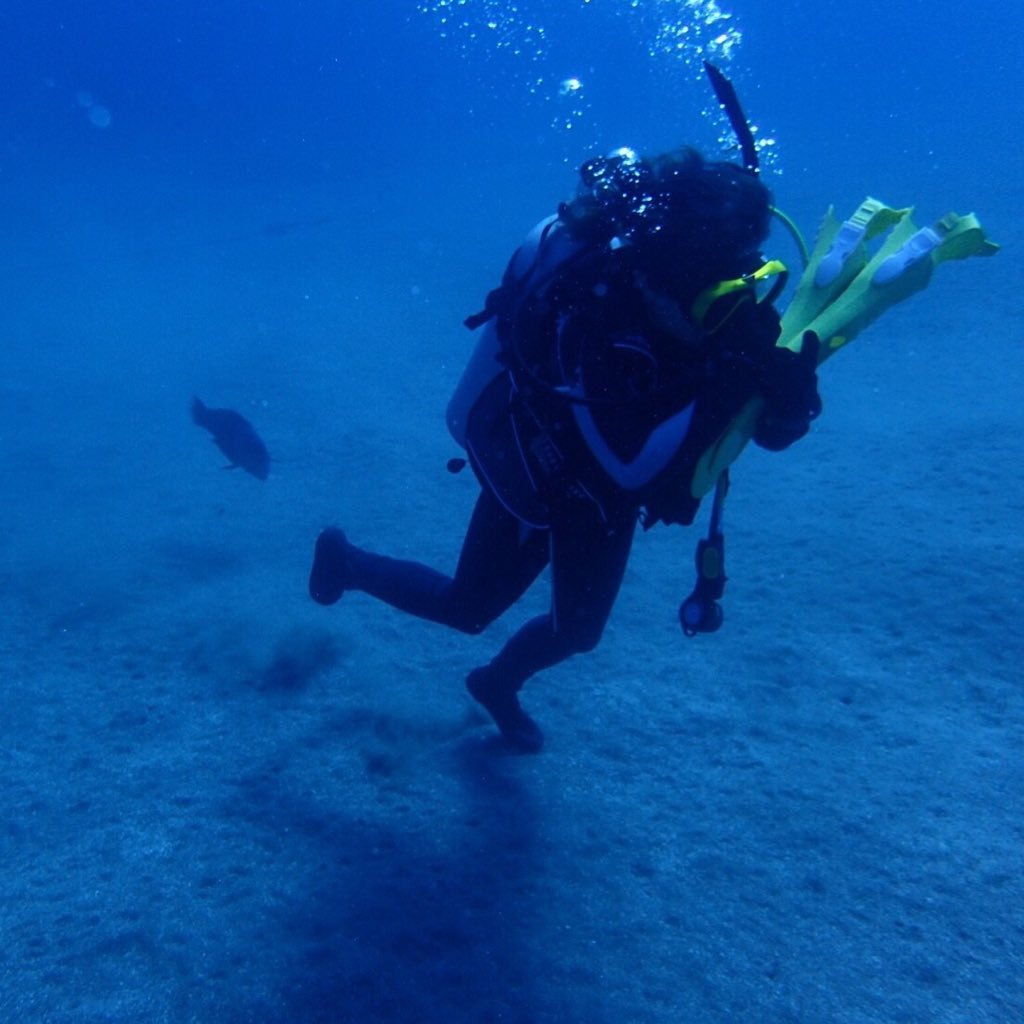 mayo_denden's profile picture. 