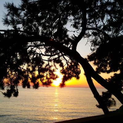 sun0430's profile picture. 야구를 무지 좋아하는 녀자~