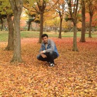 Dilband Muhammad (@dilbandmuhammad) 's Twitter Profile