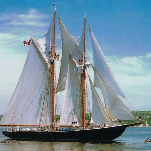 AllanBrennan3's profile picture. Bluenose II Alumnus, Educator, & Investor. 🇺🇦