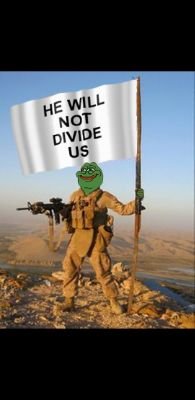 He will not divide. He will not divide us. he will not divide us meme. флаг he will not divide us frog.