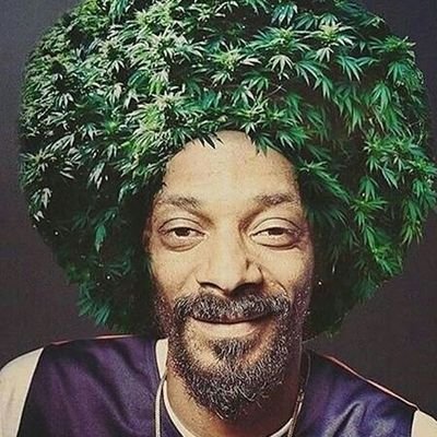 ElReyDroga's profile picture. 