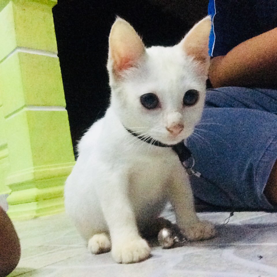 brongkos_123's profile picture. Bérgêrâk šøłõ....