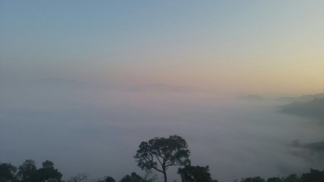 ManoharKammula's profile picture. 