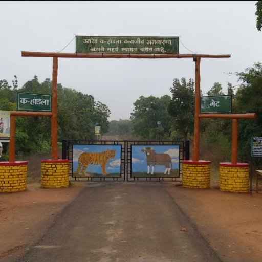 Welcome to Umred Pauni Karhandla Gothangao Wildlife Sanctuary to see Beauty of Nature With Wild Life🐯🦁