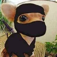 Puppy Ninja(@puppy_ninja) 's Twitter Profile Photo