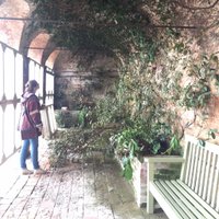 Catherine Jones (@catherine_cej) 's Twitter Profile