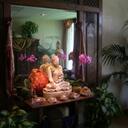 Laurie Ann Levin - @MVSanctuary - Twitter