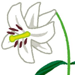 比バさんのプロフィール画像
