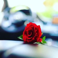وفاء محمد (@ktkgzpheoydnakz) 's Twitter Profile Photo