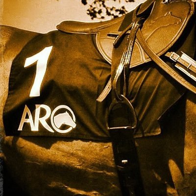 Free digital magazine, newsletter and podcast supporting 🏇Purebred Arabian racing in 🇬🇧 and around the world #originalracehorse