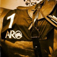 The Arabian Racehorse (@arabianrh) 's Twitter Profile