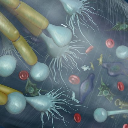 Research Ireland Centre for Medical Devices. Scientific research in biomaterials, drug delivery, regenerative medicine, bioengineering and glycobiology.