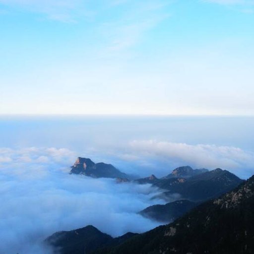 best_swifter's profile picture. 2016年进入币圈，历经起起伏伏，至今未财富自由，继续努力！