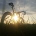 CyclingPaul (@cyclingpaul2) Twitter profile photo CyclingPaul (@cyclingpaul2) Twitter profile photo