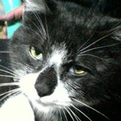 長沢樹さんのプロフィール画像