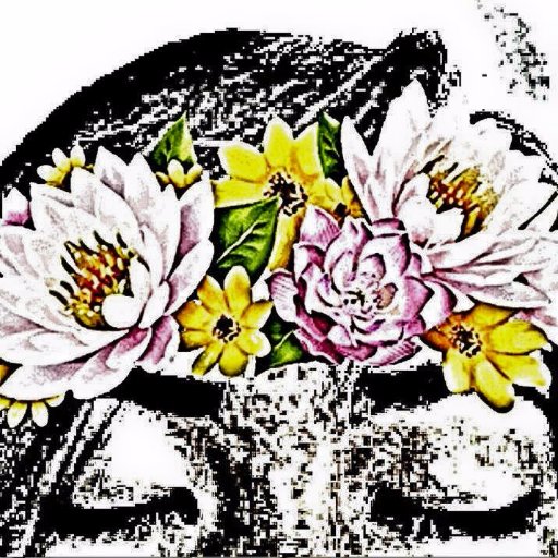 clarissaporio's profile picture. I think I'm Inlove again