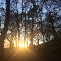 Sinéad Hoben (@sineadhoben) 's Twitter Profile