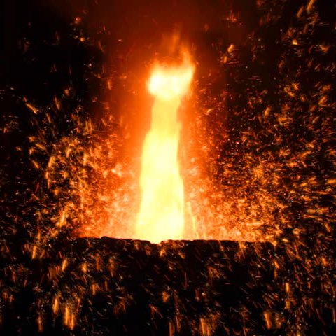 cardinalsin78's profile picture. Bipède à deux pattes