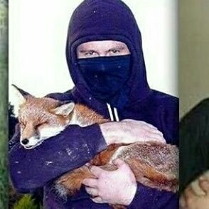 CapulcErolTasci's profile picture. Antiyobaz,  Atatürk sevdalısı, hayvan ve doğa sever Capulcunun biriyim...