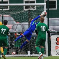 Steve Brook (@stevebrook206) 's Twitter Profile