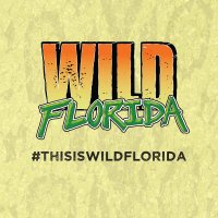 Wild Florida(@WildFlorida) 's Twitter Profile Photo