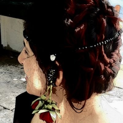 Meltemdk1's profile picture. 🍀🌿☘️🌱