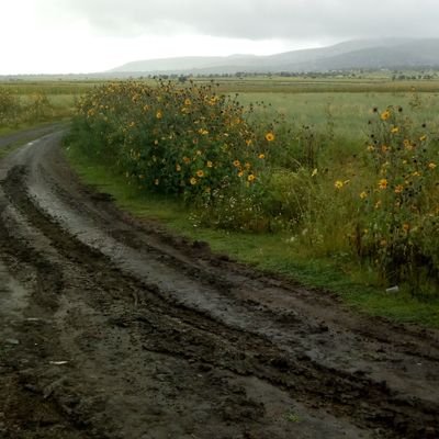 Ofelia02108915's profile picture. 