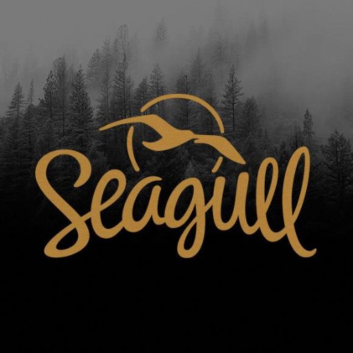 Compte officiel des Seagull Guitars / Official account of Seagull Guitars #SeagullSessions