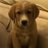 Rumrunner11's profile image
