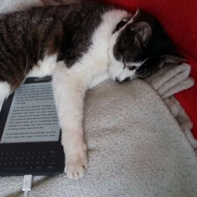 Scottish Bookworm, book blogger, calls everyone Betty or wee pie. Animal lover ❤️
https://t.co/BTt5Gm0yNn 📚🐾🤓 she/her.