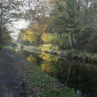 Jane Walker (@spinmillhouse) 's Twitter Profile Photo Jane Walker (@spinmillhouse) 's Twitter Profile Photo