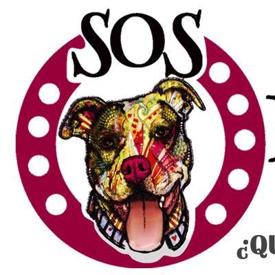 Asociación protectora de animales SOS Peludos España
📧Adopciones.sospeludosespana@gmail.com
BIZUM: 684 045 400
Colabora, cualquier ayuda se agradece.