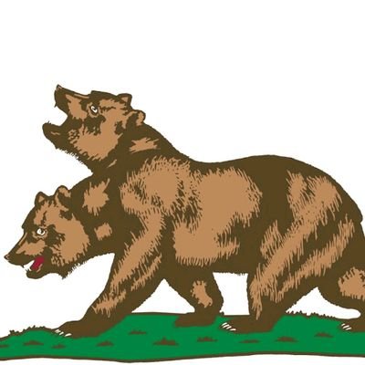 ConorMa69824637's profile picture. Born in London,England.Nationality Irish