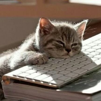 HakrInProgress's profile picture. Just another weird BITCH