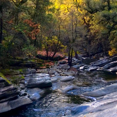 o_o_djob's profile picture. 