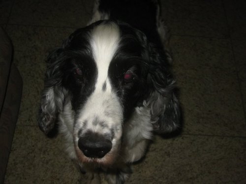 analuisawadta's profile picture. 