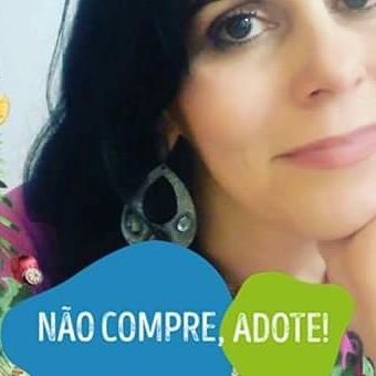 melhor criar codornas do que expectativas