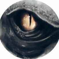 OfClanOrvanar's profile picture. —  ;  goddaмn rιgнт yoυ ѕнoυld вe ѕcared oғ мe.